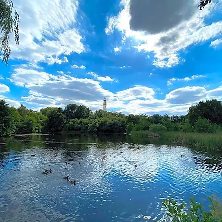 Sasto Отель